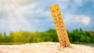 India's climate action: Mitigating climate change and promoting sustainability