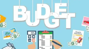 Budget prepared to make 'crony capitalists' richer: Congress targets government 